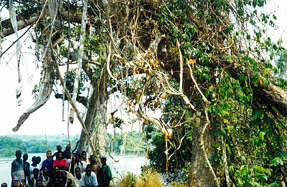 Angola